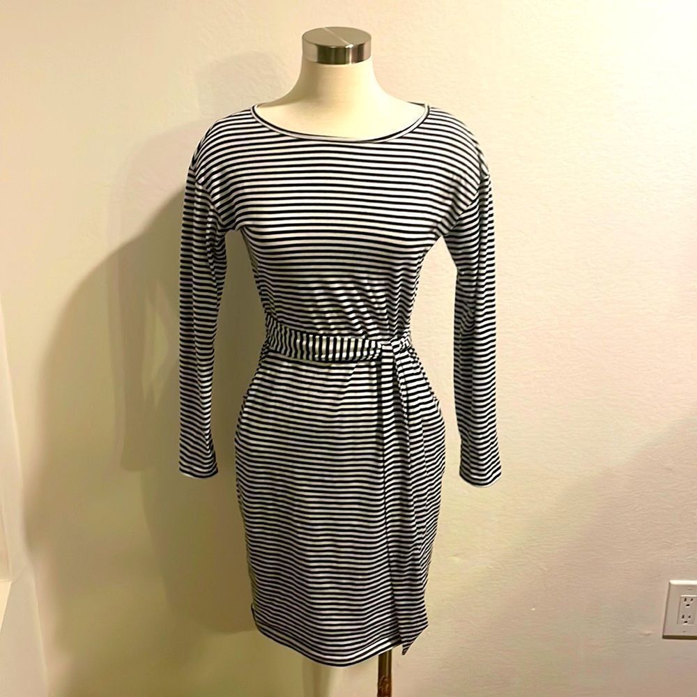 Cutest Stripe Dress